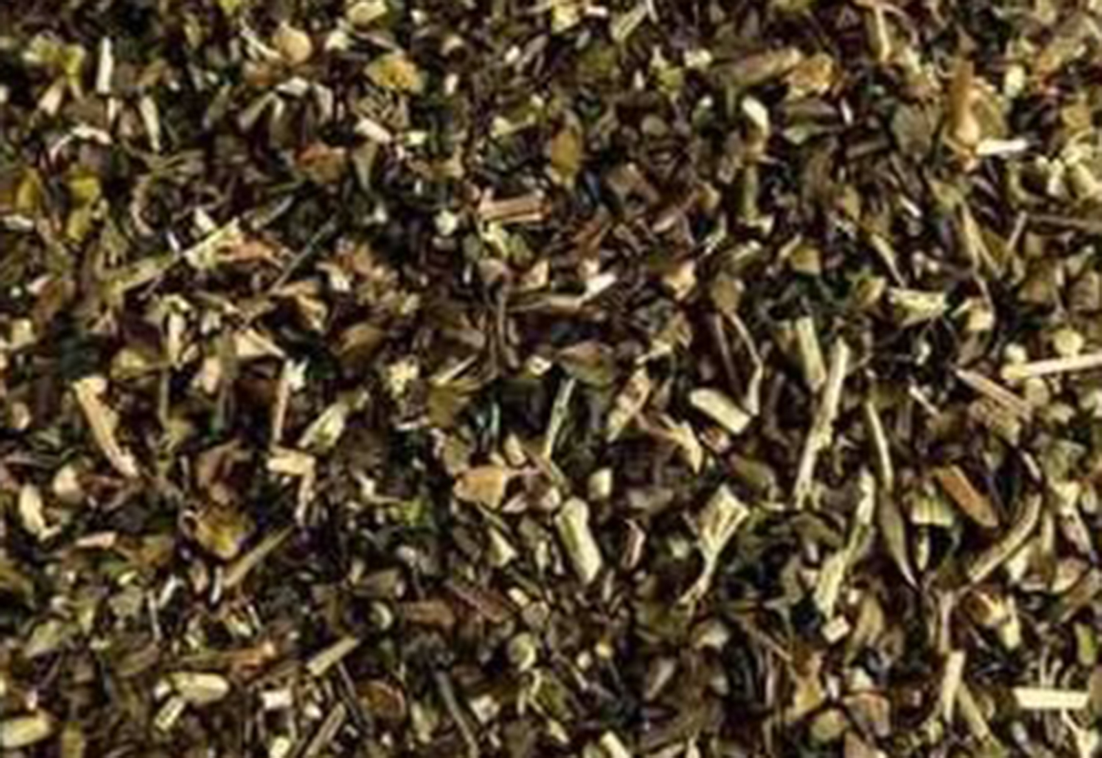 Adulsa Leaves