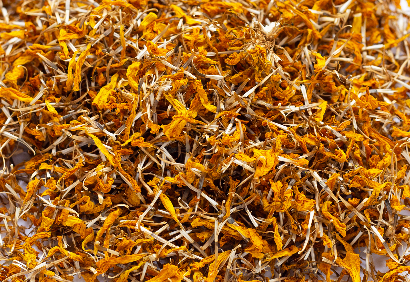 Dried marigold flower petals on white background. Flower herbal tea concept.