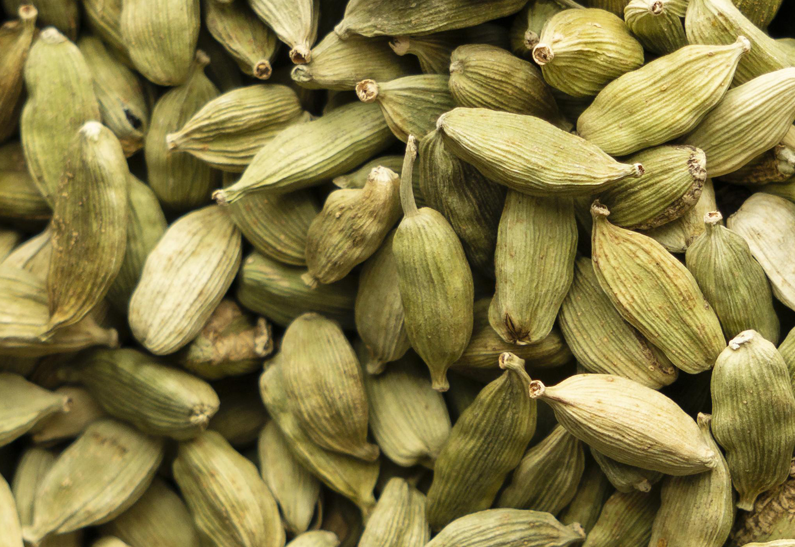Cardamom