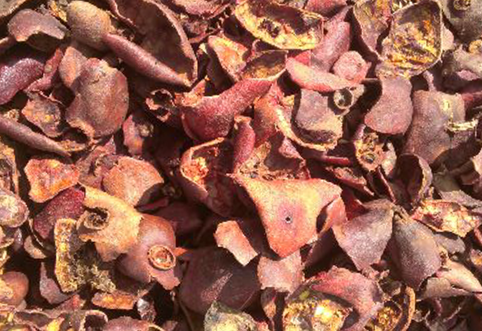 Pomegranate Peels