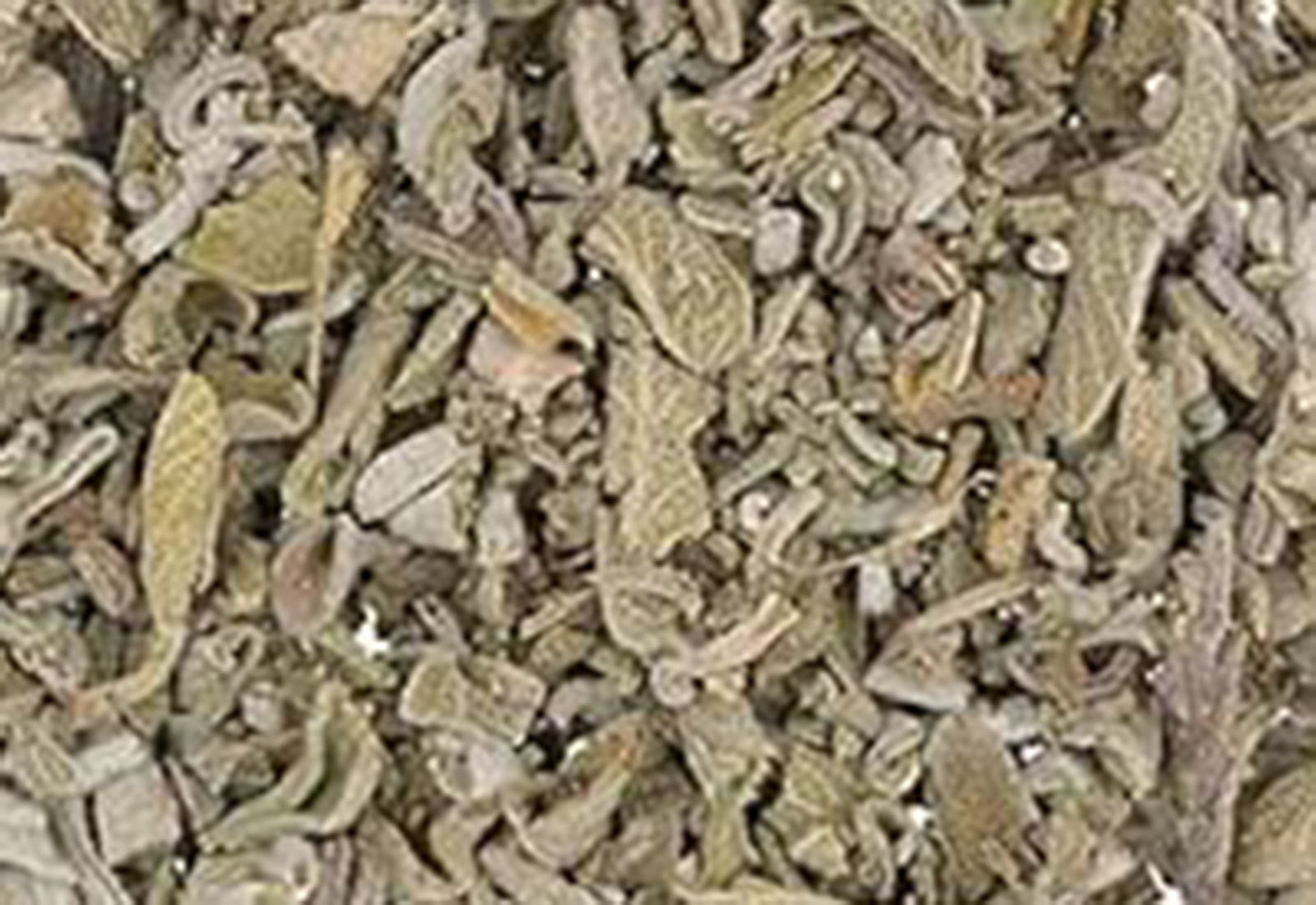 Sage leaves