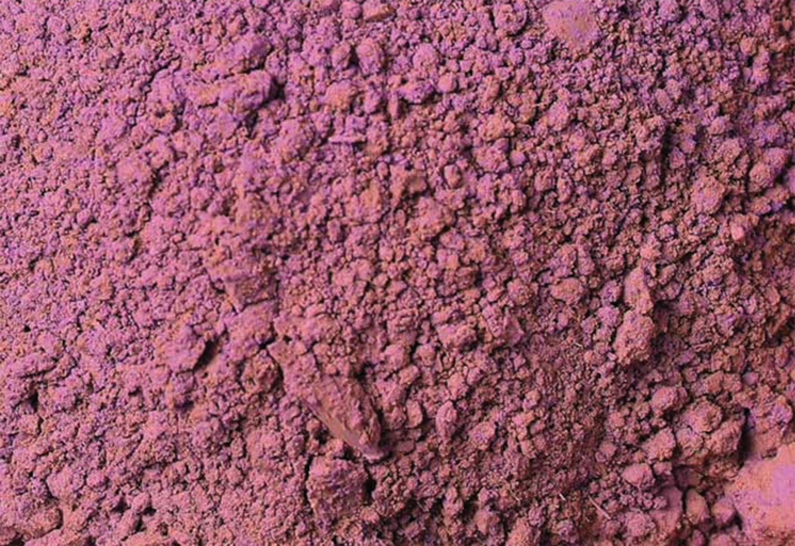 beetroot powder