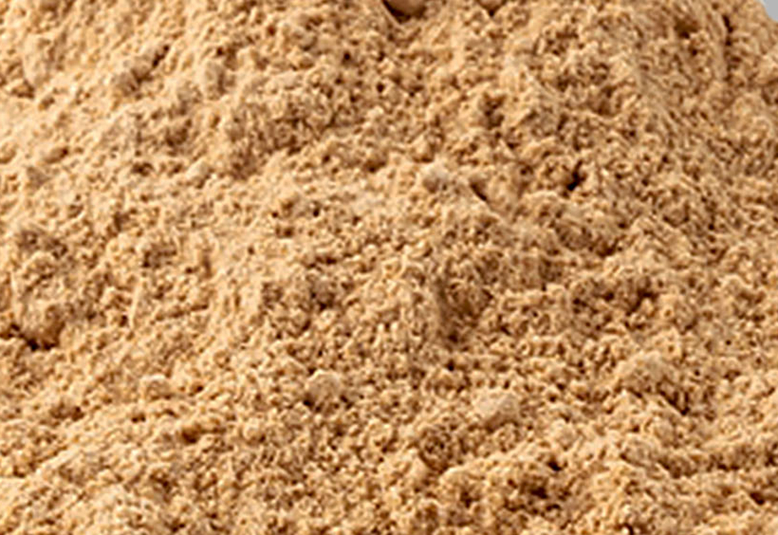Sandalwood Powder in White Bowl Isolated on Transparent  Background