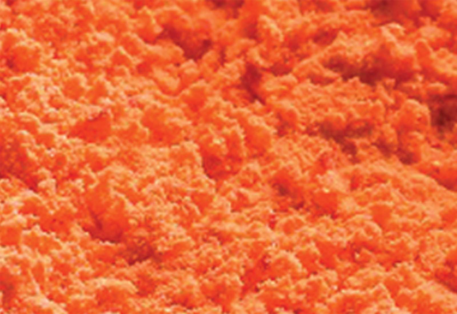 carrot powder