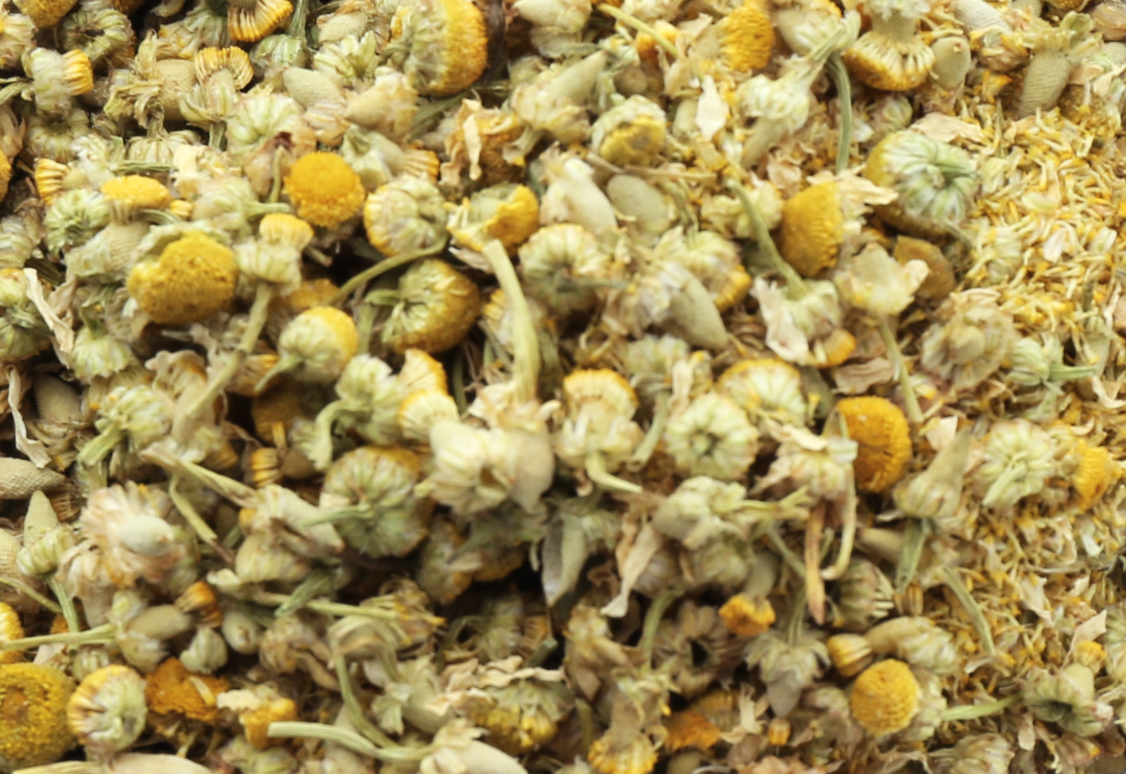 Bowl with dried chamomile flowers on white background