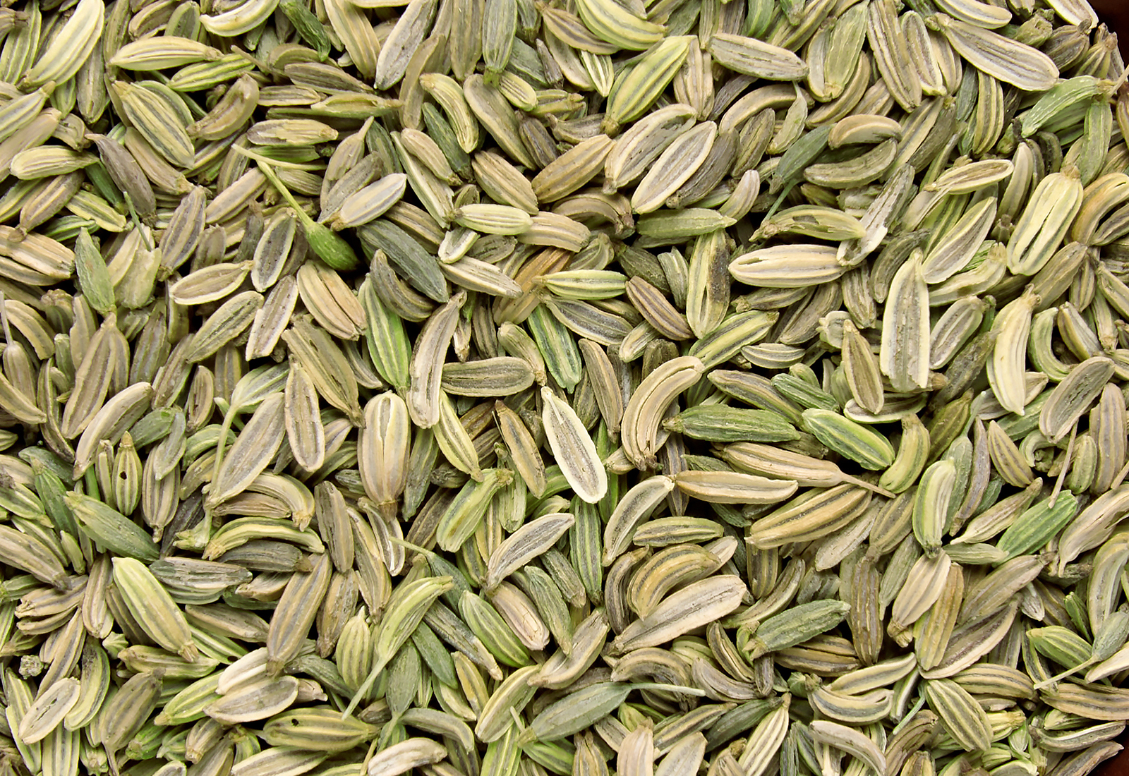 dried fennel seeds in brown clay bowl isolated on white background. top view with copy space.