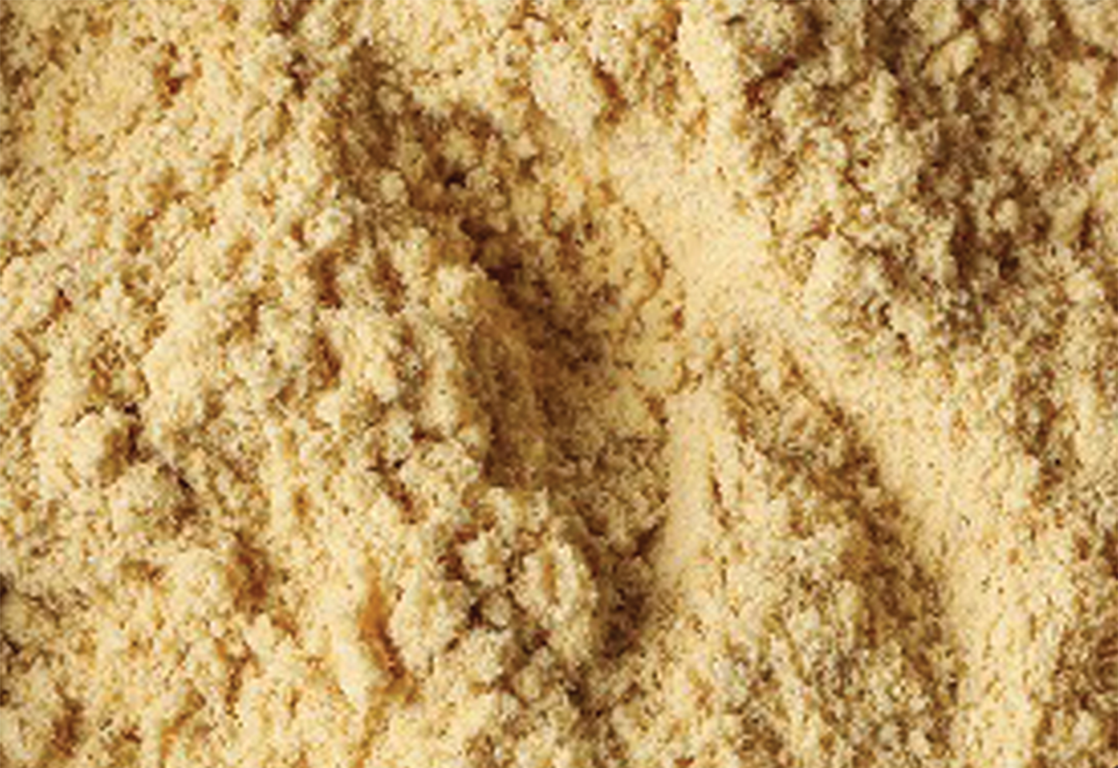 ginger powder