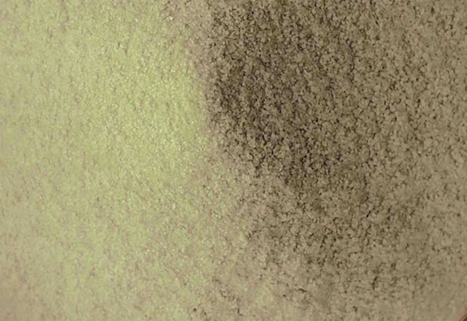gooseberry powder
