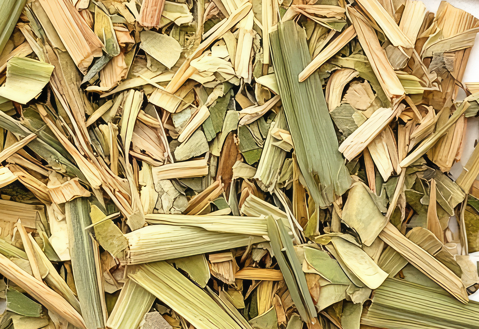 A pile of dried lemongrass leaves and sticks scattered on a white background, viewed from above. The pieces have various sizes and shapes, with some slightly faded or charred edges. They appear to be scattered in a random pattern around the central area. png2 --v 6.1 Job ID: bb421623-2494-4835-b0a9-7dcf5c757aa5
