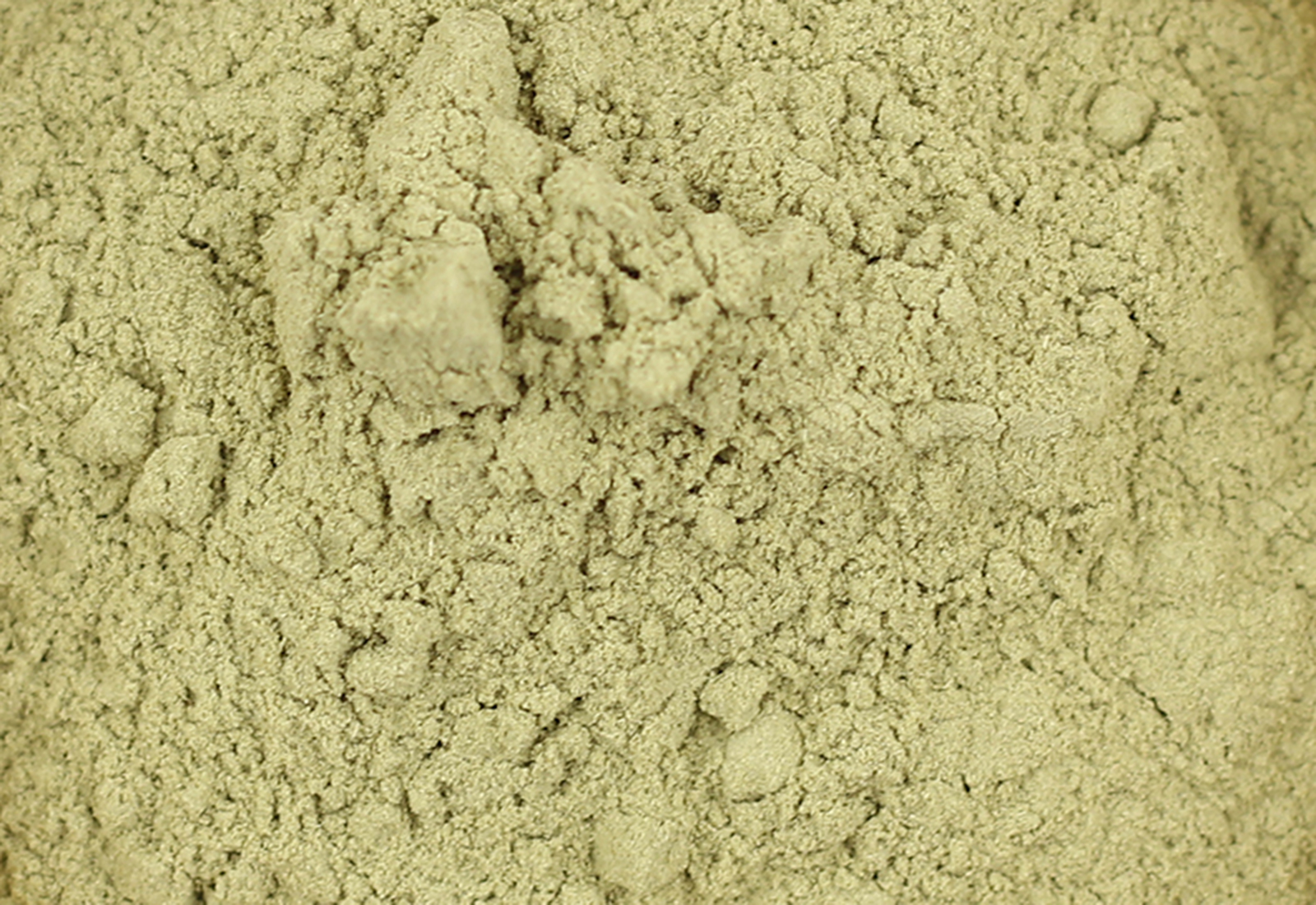 moringa extract