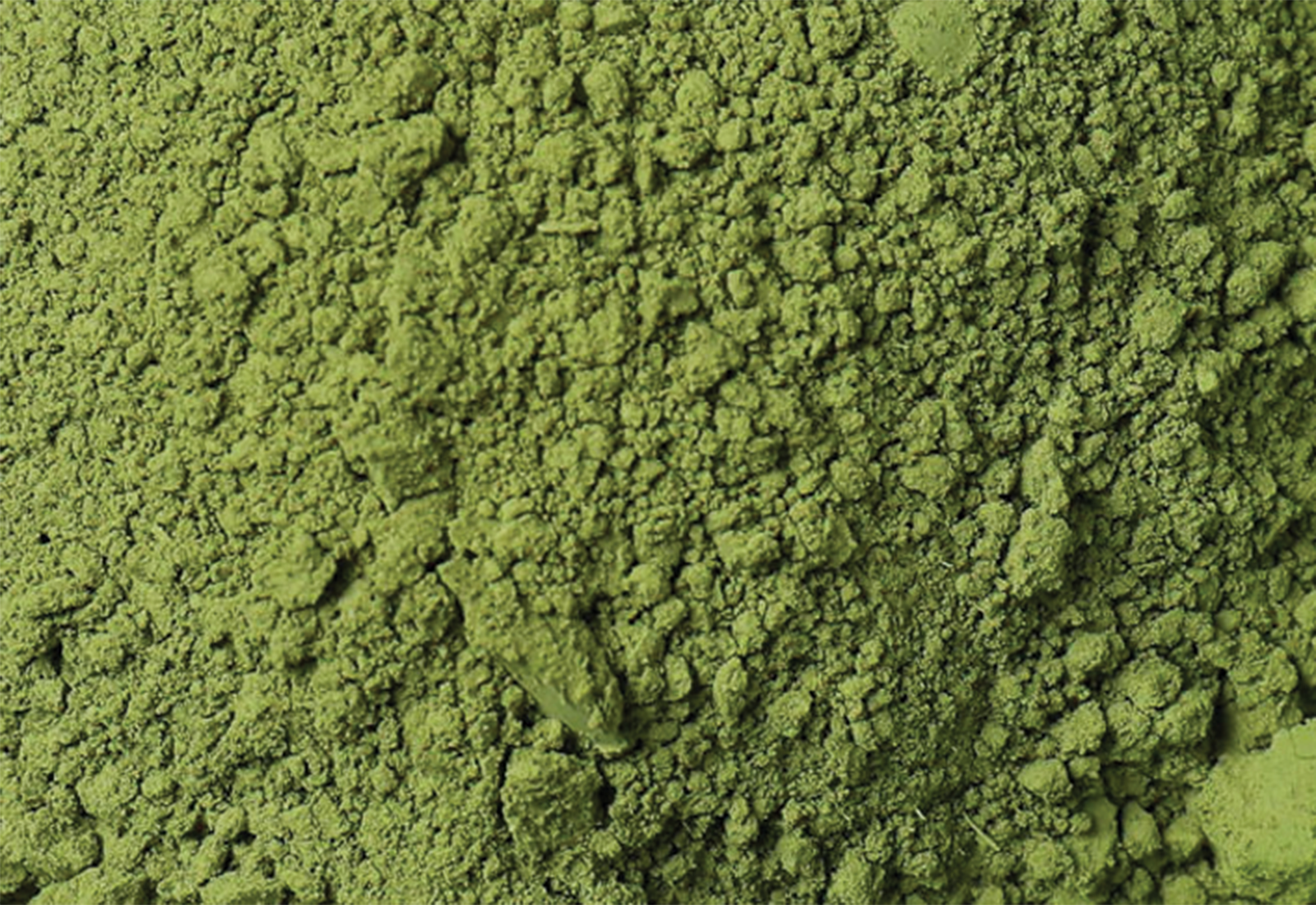 moringa powder