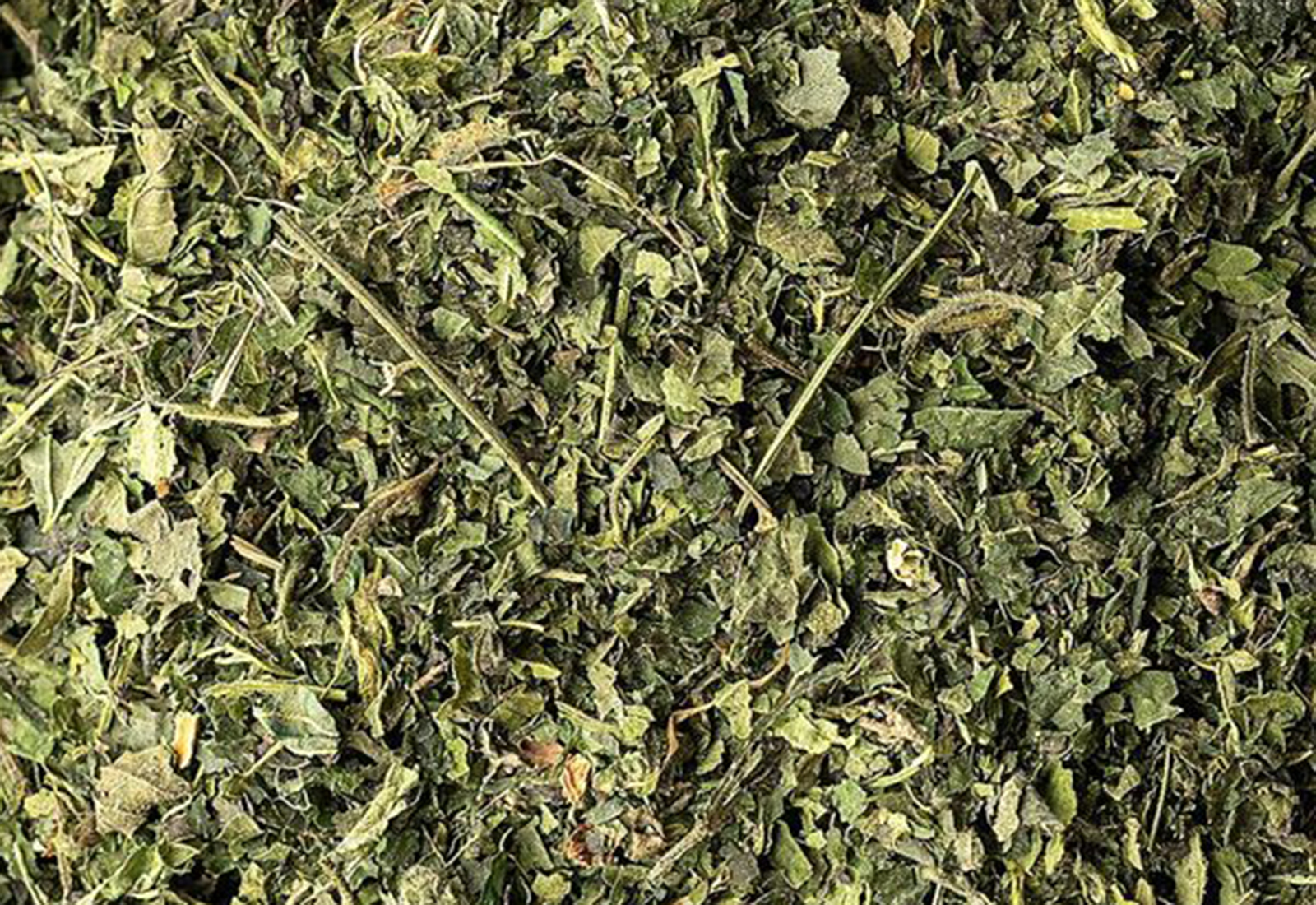 nettle