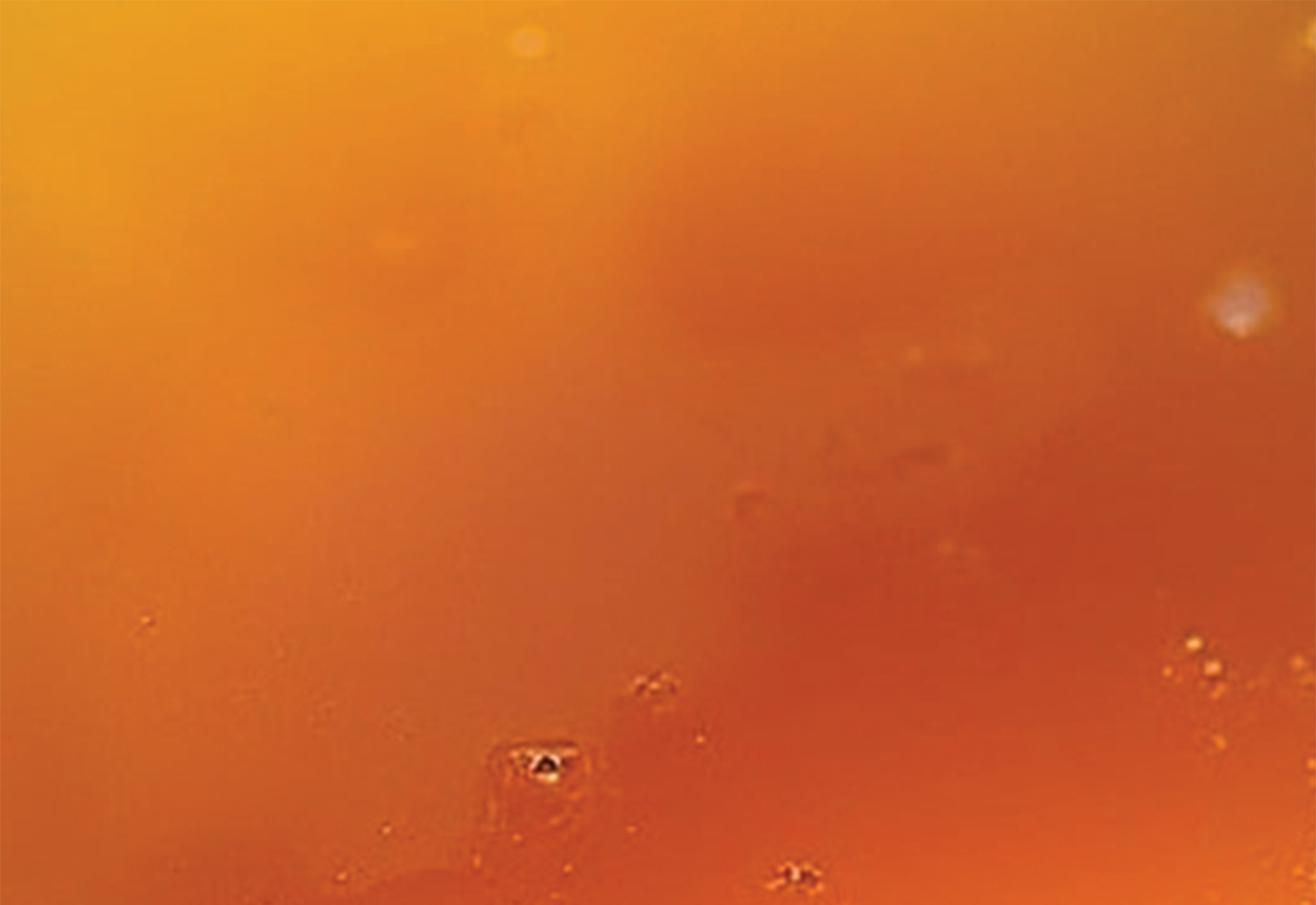 orange rice syrup
