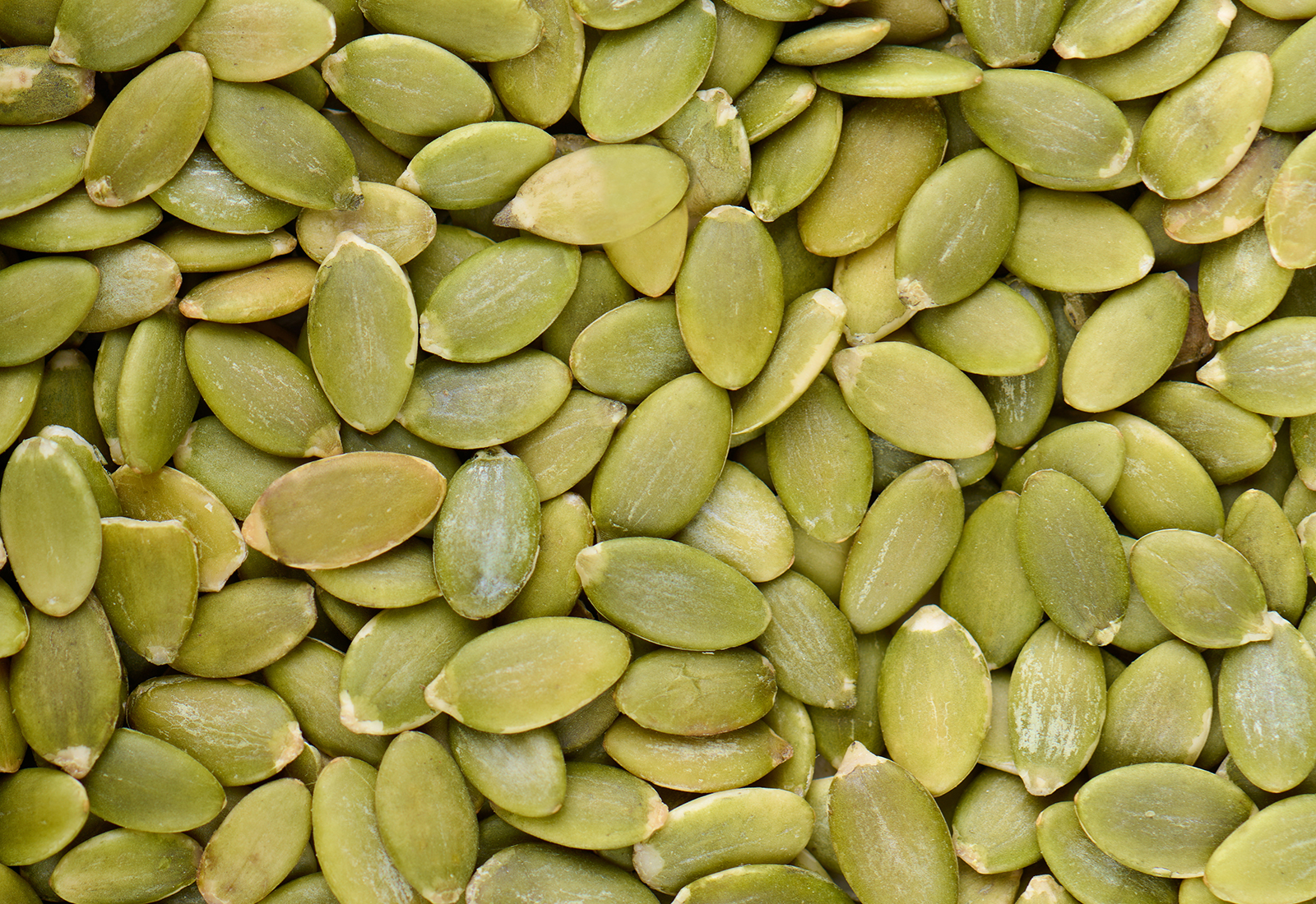 pumpkin seeds