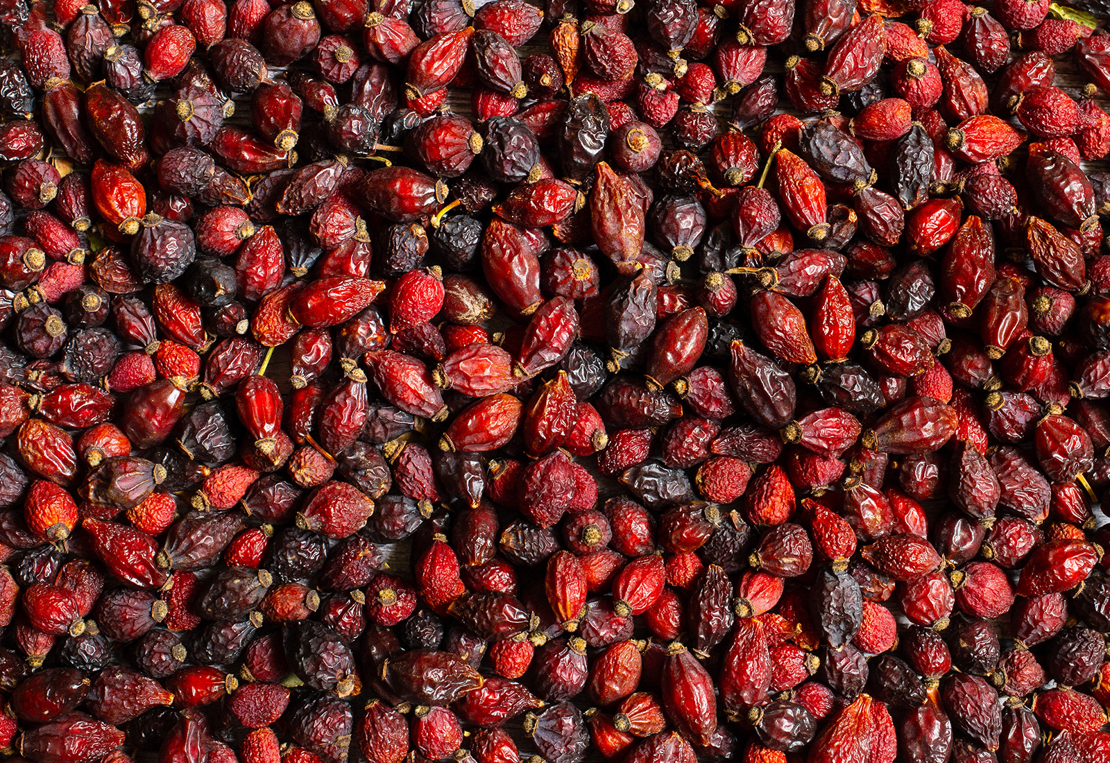 rosehip berry background