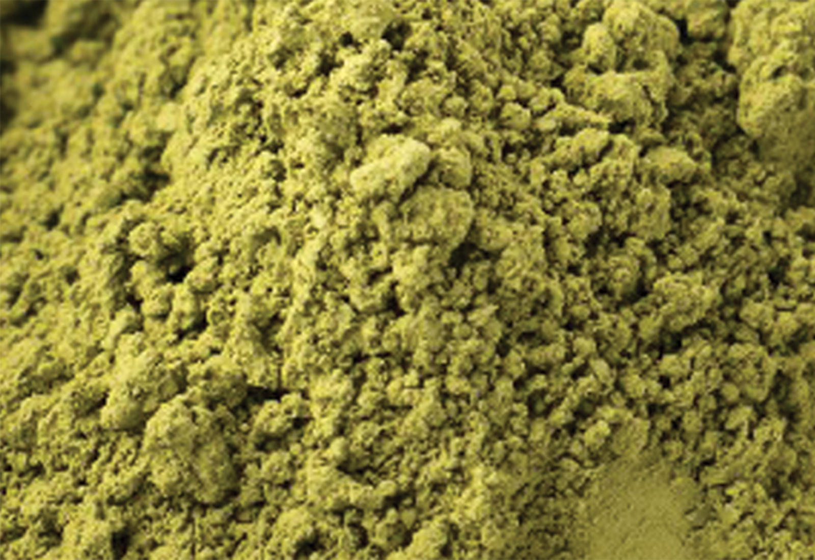 spinach powder
