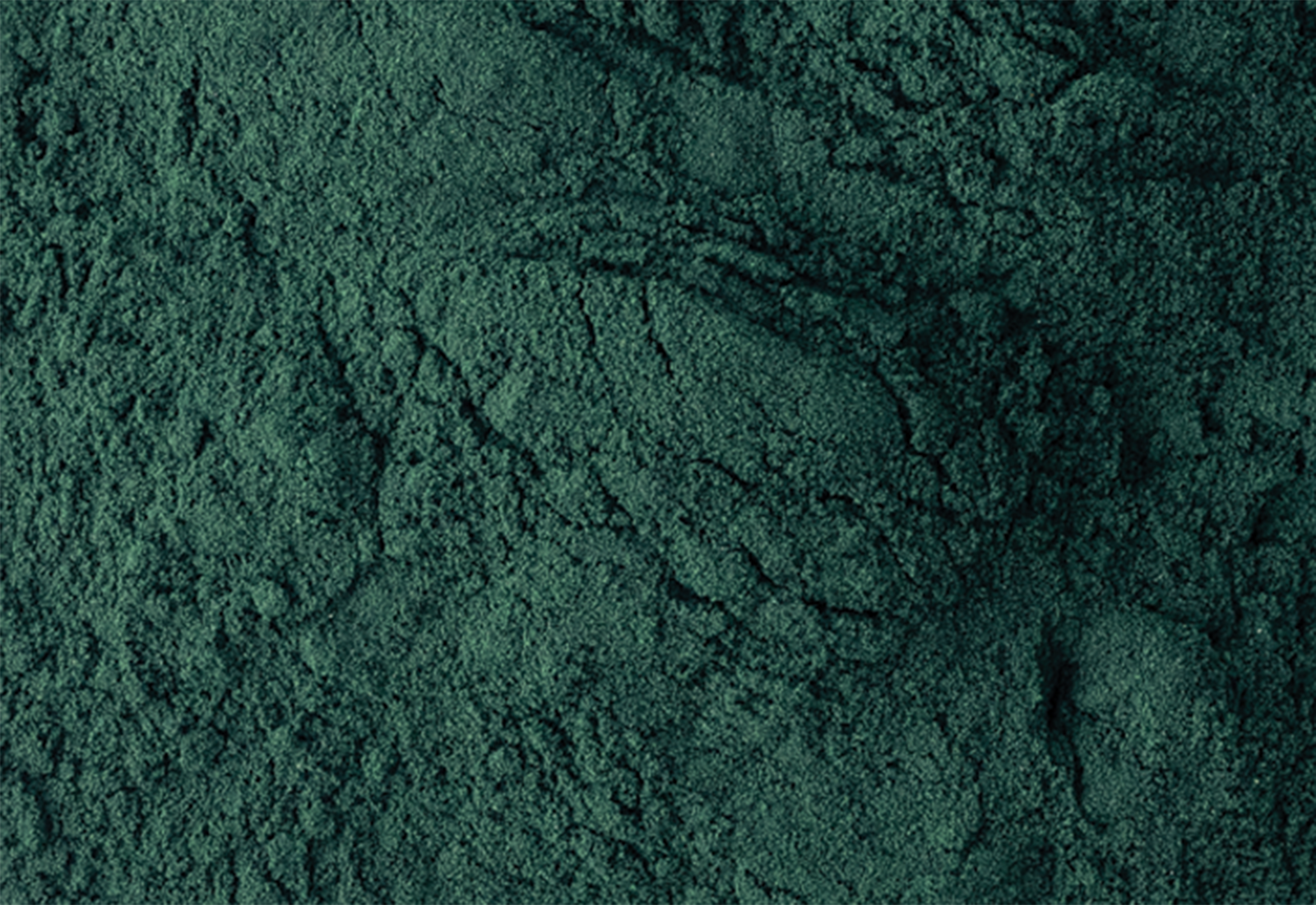 spirulina powder