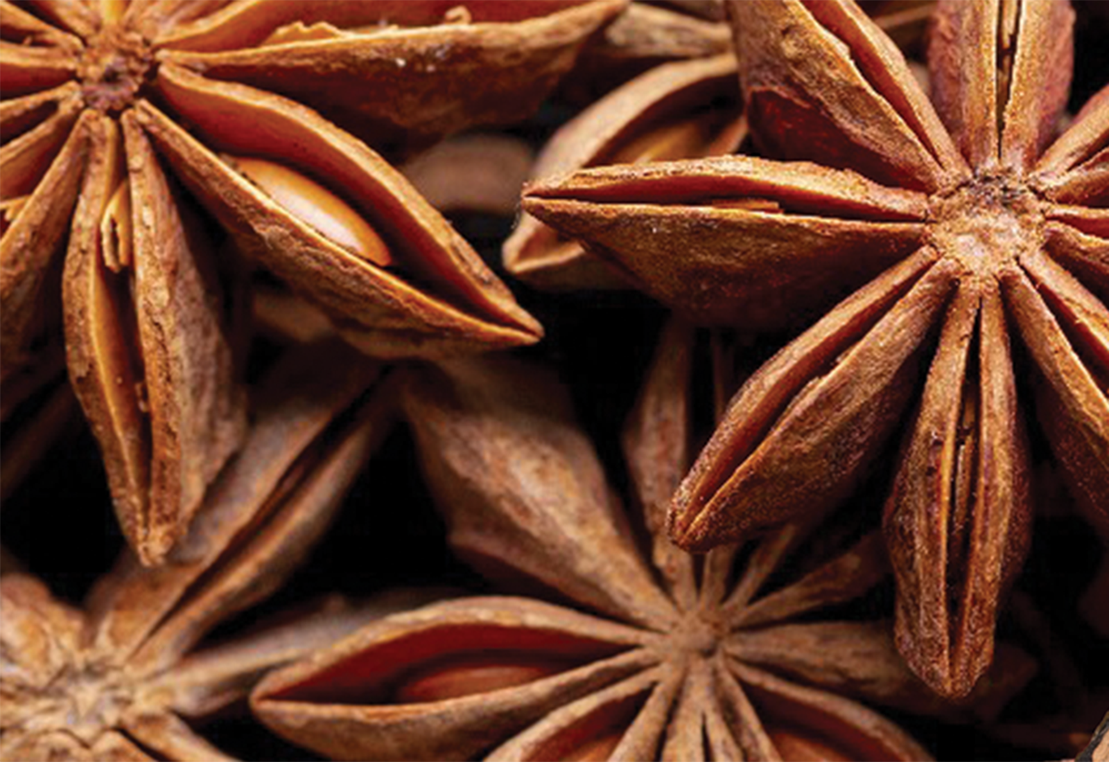 star anise