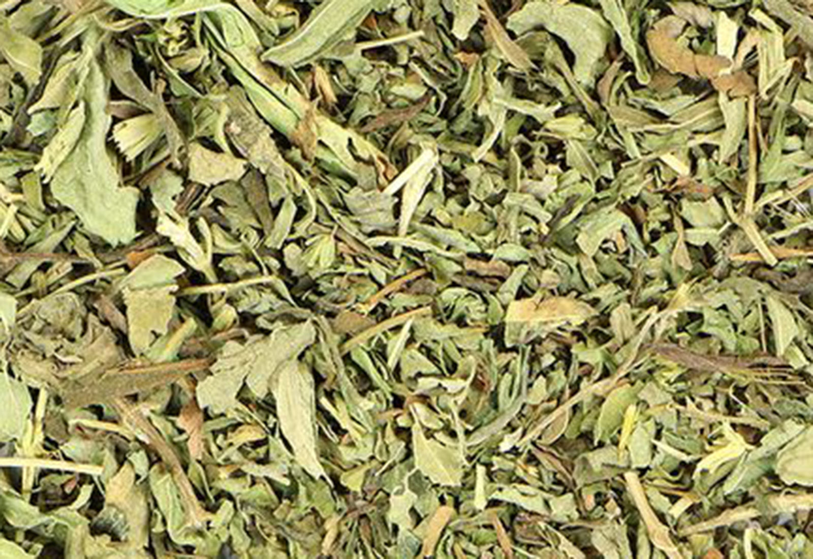 stevia leaf