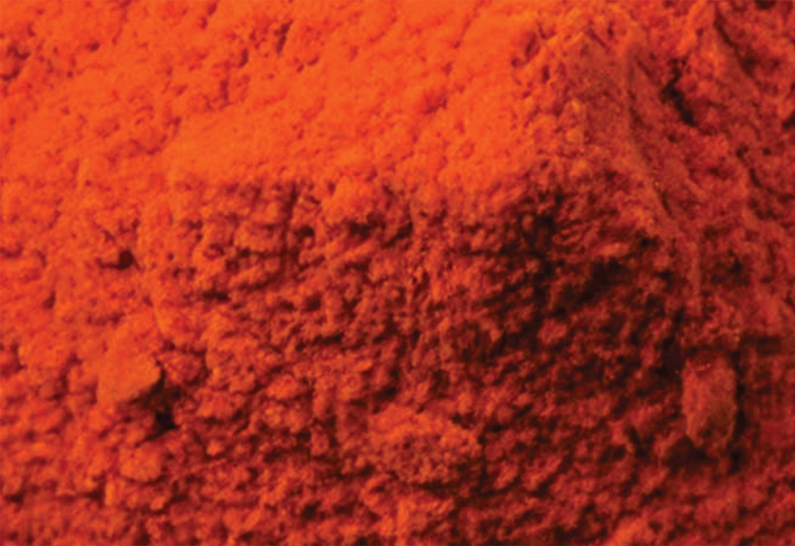 tomato powder