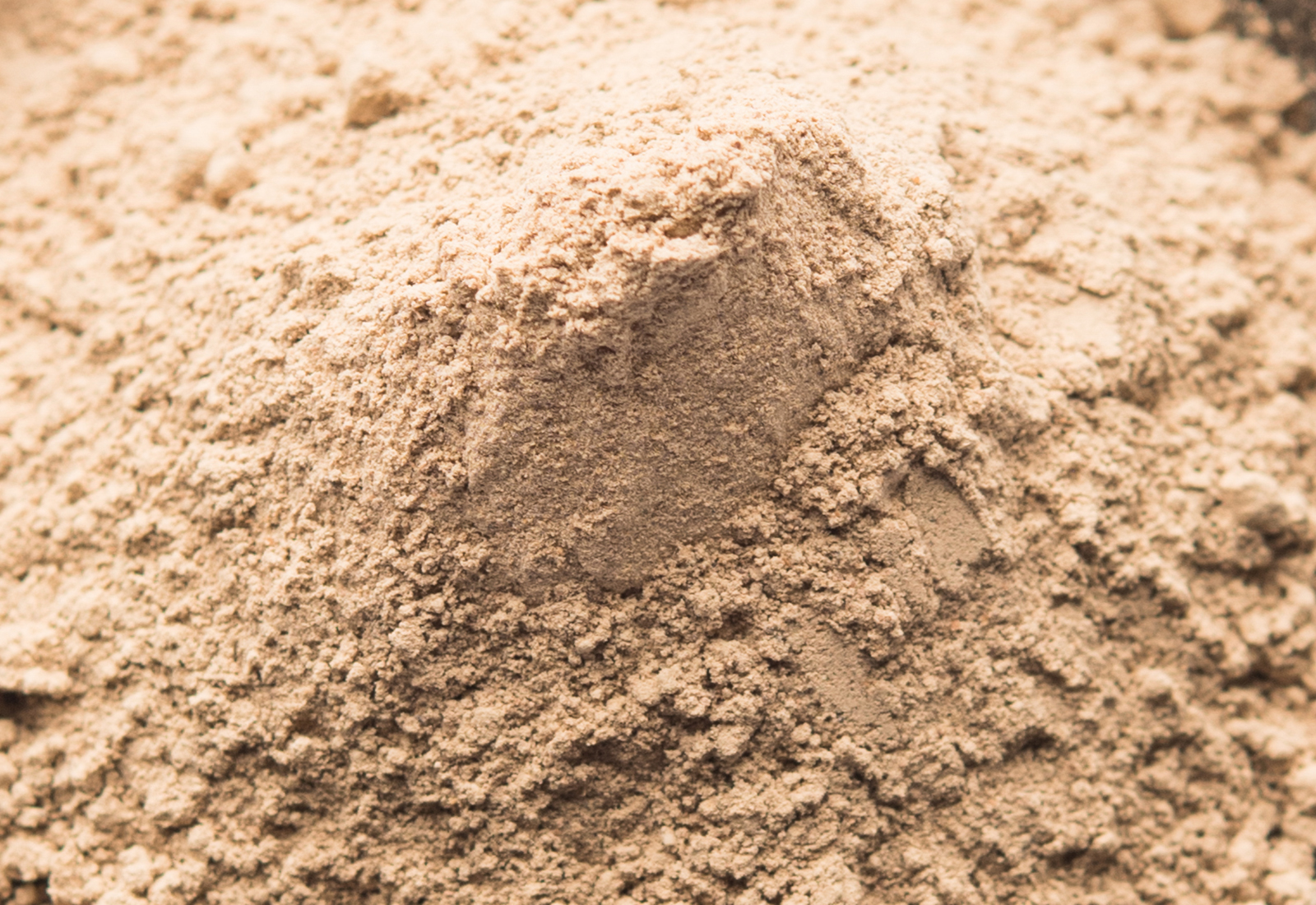 Amla powder with raw Avla, it's an Ayurvedic alternative medicine
