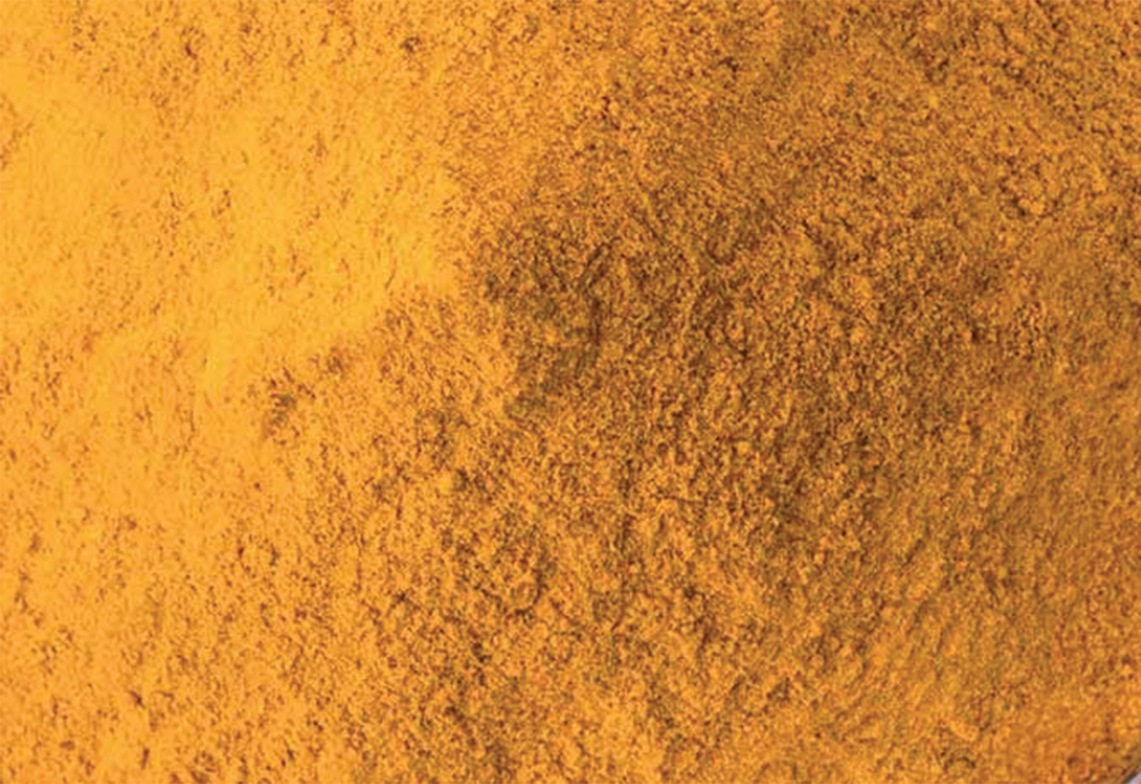 turmeric powder