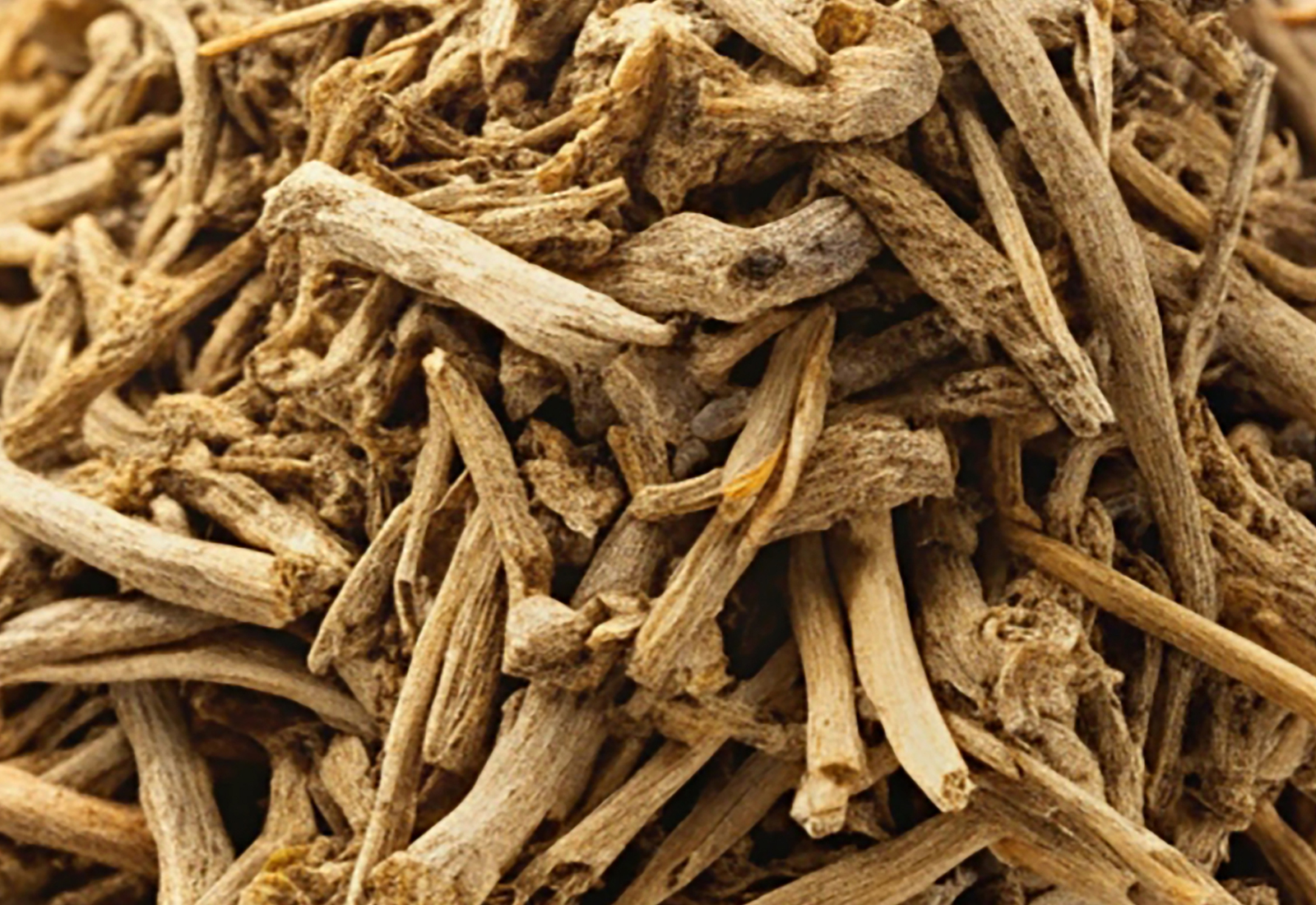 Dried valerian root Isolated white background